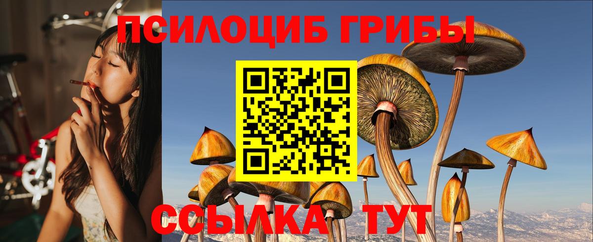 Псилоцибиновые грибы Cubensis Балабаново